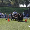 IMG_828655