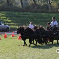 IMG_828656