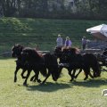 IMG_828657