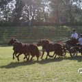 IMG_828658