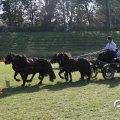 IMG_828659
