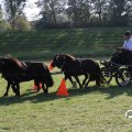 IMG_828660