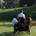 IMG_828662