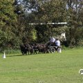 IMG_828663