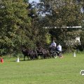 IMG_828664