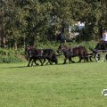 IMG_828665