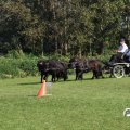 IMG_828666