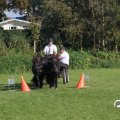 IMG_828667