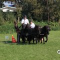 IMG_828668