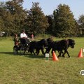 IMG_828669