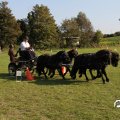 IMG_828671