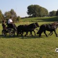 IMG_828672
