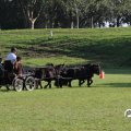 IMG_828675