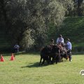IMG_828676
