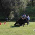 IMG_828677