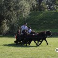 IMG_828678