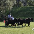 IMG_828679
