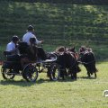 IMG_828682