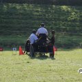 IMG_828683