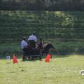 IMG_828686