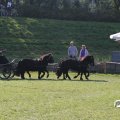 IMG_828687