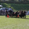 IMG_828688
