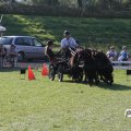 IMG_828689