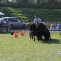 IMG_828690