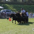 IMG_828691