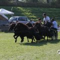 IMG_828692