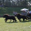 IMG_828693