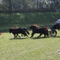 IMG_828695