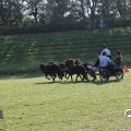 IMG_828697