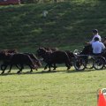 IMG_828700