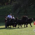 IMG_828701