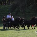 IMG_828702