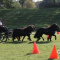 IMG_828703