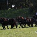 IMG_828704