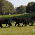 IMG_828705