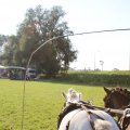 IMG_828712