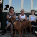IMG_828782