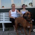 IMG_828783