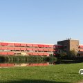 IMG_828855
