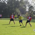 IMG_828311