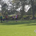IMG_828317