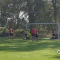 IMG_828333