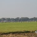 IMG_827814