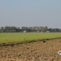 IMG_827815