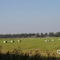 IMG_827817