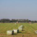 IMG_827819